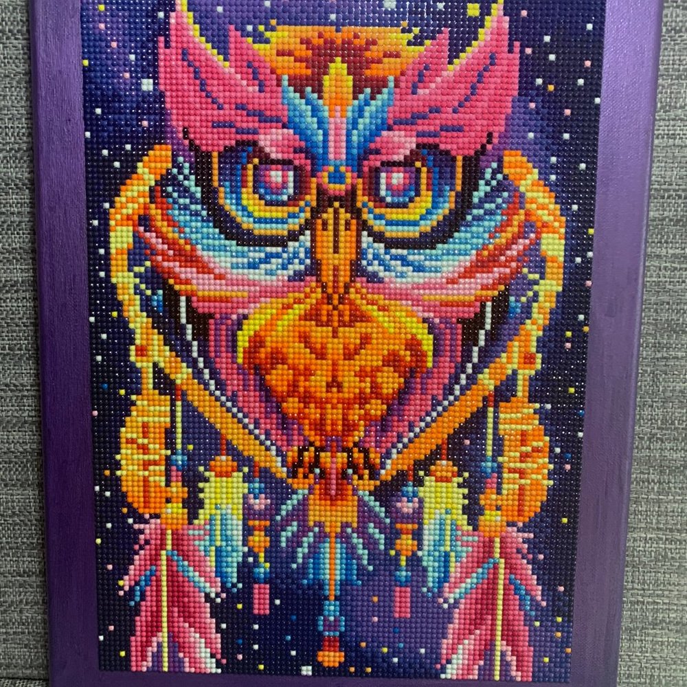 #787 Dream Catcher Owl Diamond Art #787